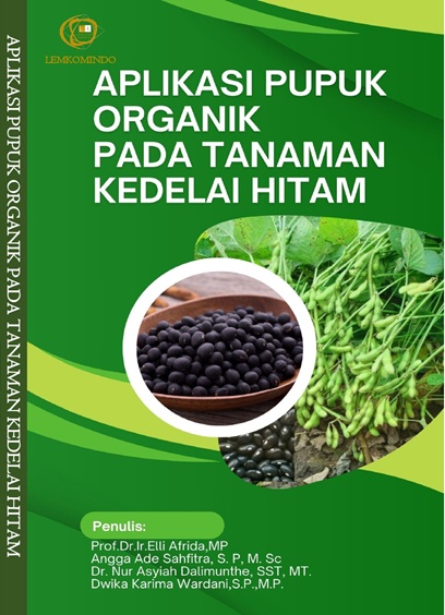 satu sisi-Cover